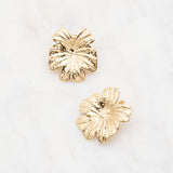 Boucles Ikita Paris - Olbia