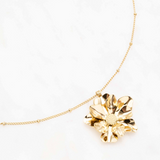 Collier Ikita Paris - Brunella