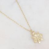 Collier Ikita Paris - Sautoir Alohaelle