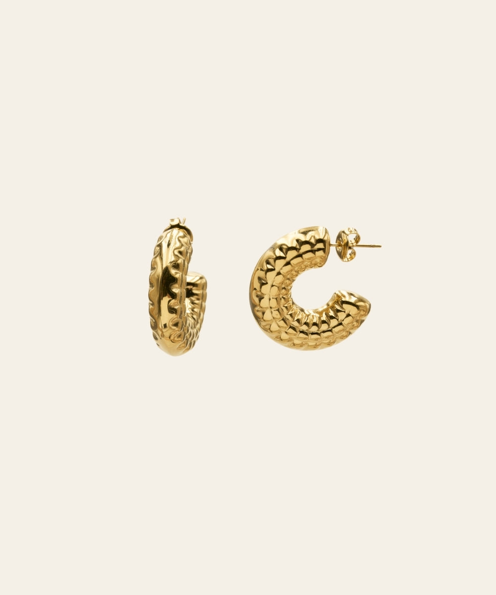Boucles d'oreilles - Priam