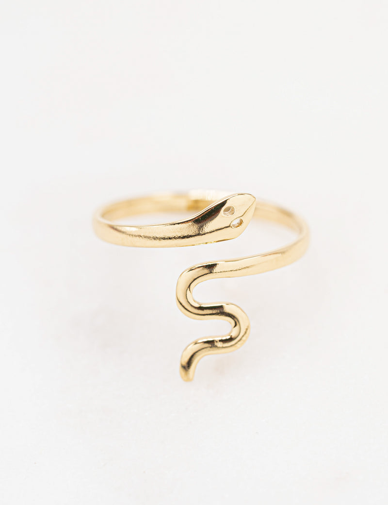 Bague Cleyden